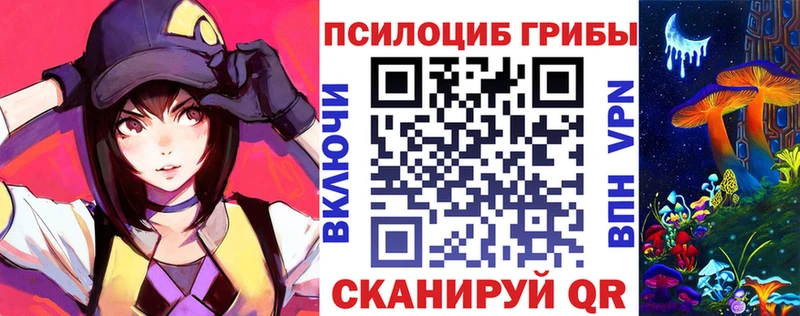 даркнет сайт Цимлянск MEGA зеркало Псилоцибиновые грибы прущие грибы